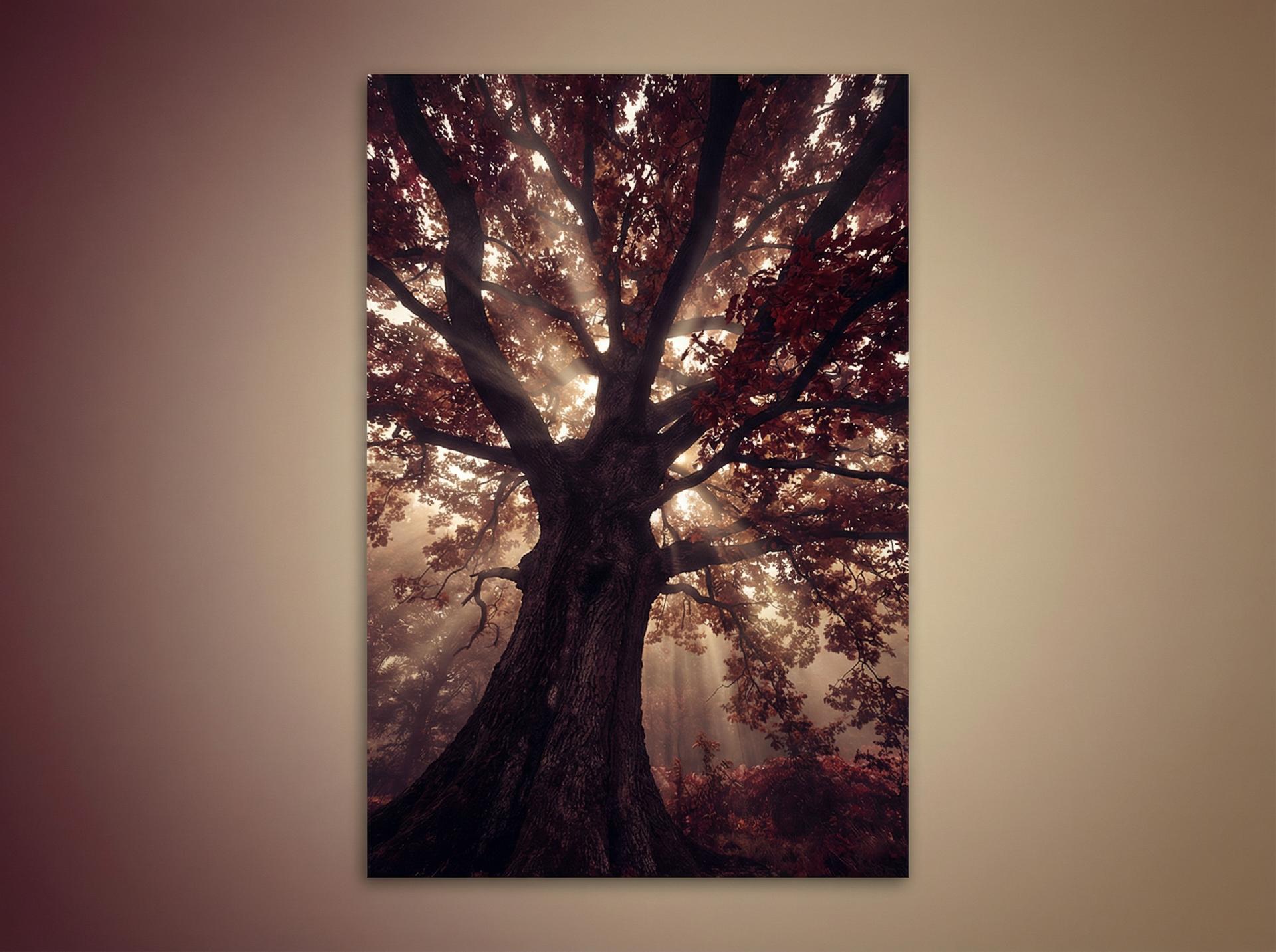 麻豆 AI植物视频推荐